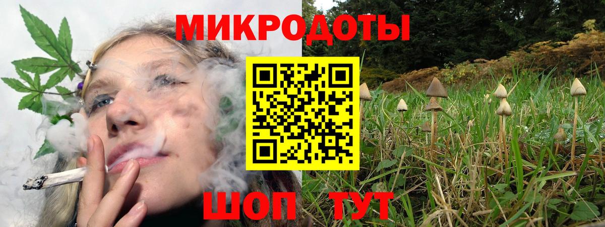 Галлюциногенные грибы Magic Shrooms  Вход с VPN  Чистополь 